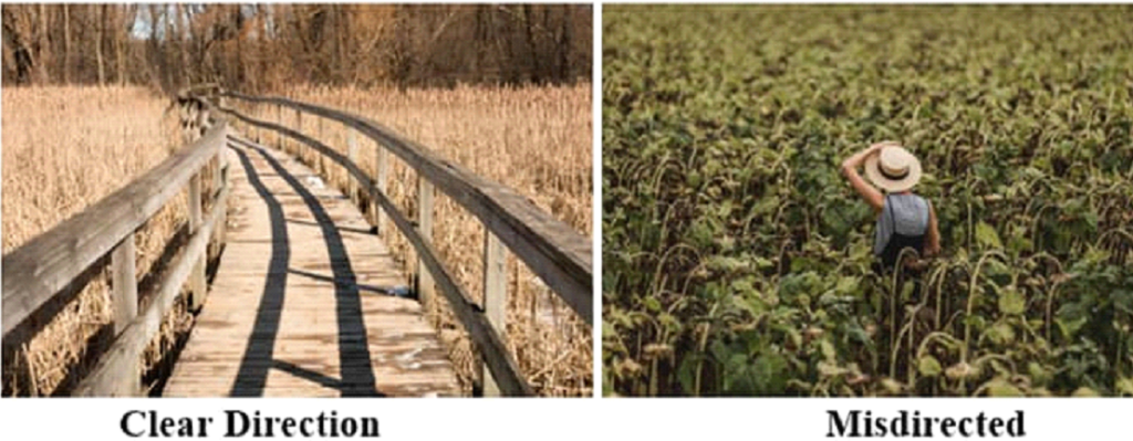 new wealth book by david