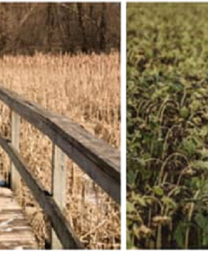 new wealth book by david